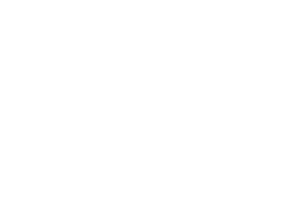 coroa-desburokrat-2